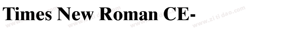 Times New Roman CE字体转换